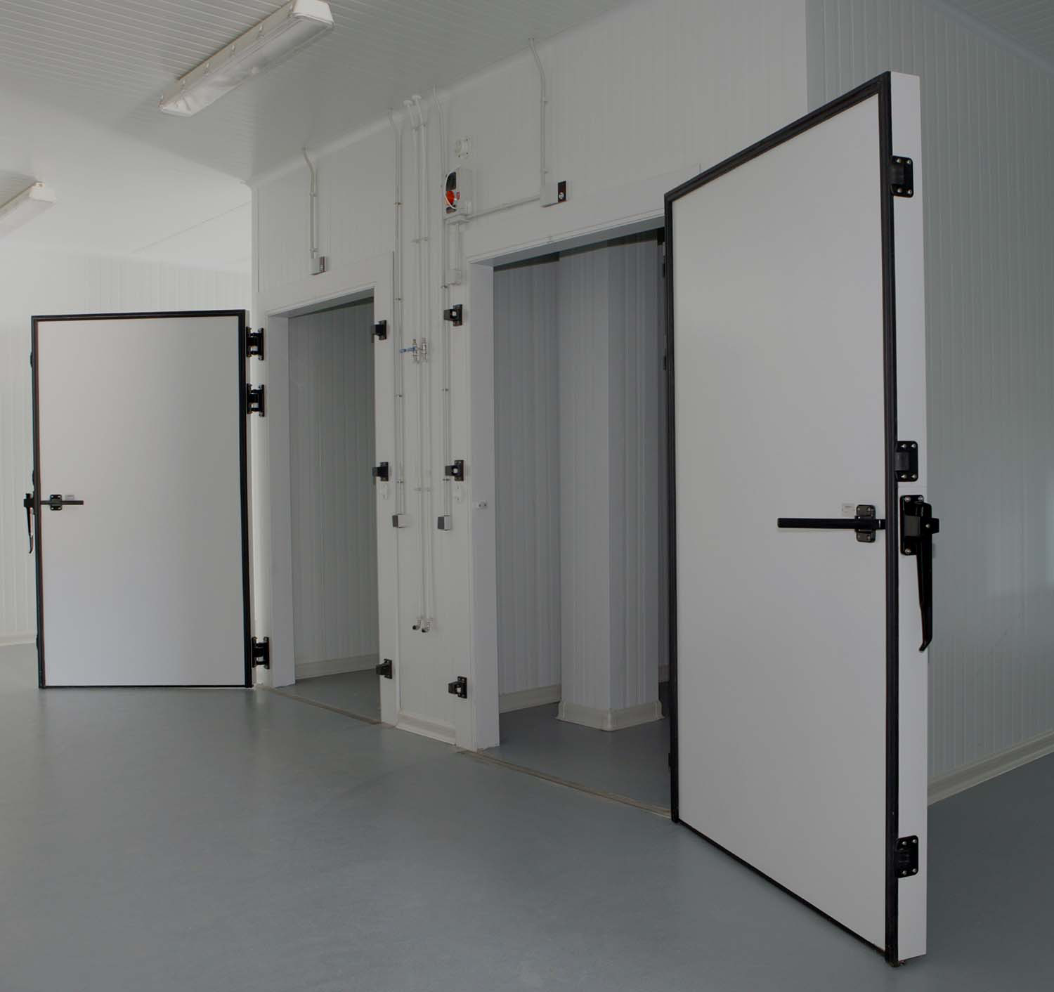 Custom Coolroom & Freezer Room Builds